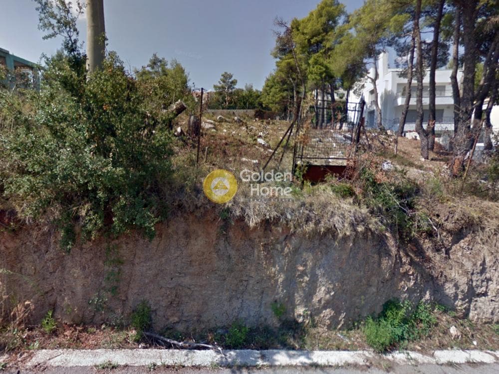 Building Plot in Rodopoli, Rodopoli