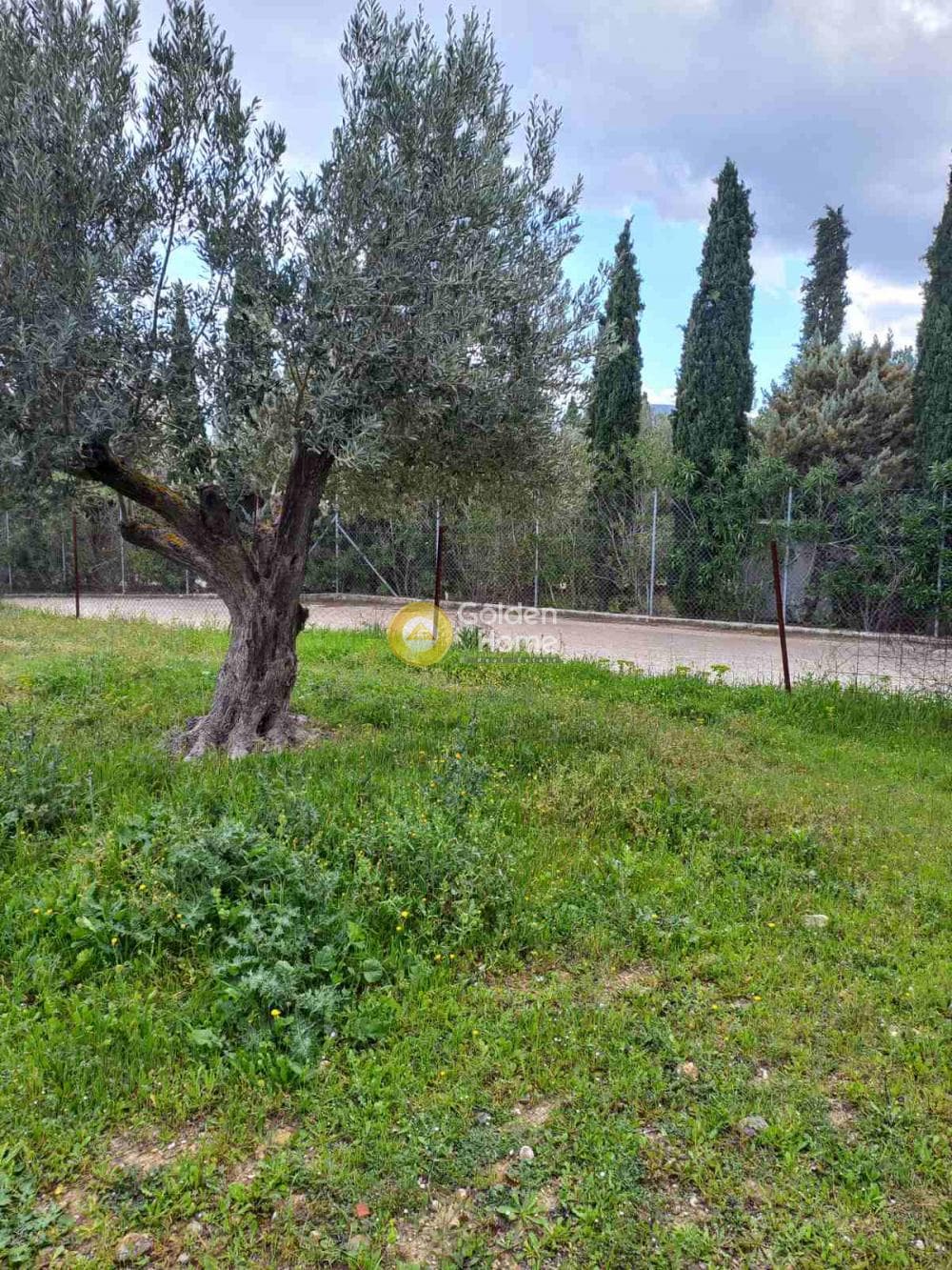 Parcel in Agia Triada, Markopoulo — Photo 1 of 4
