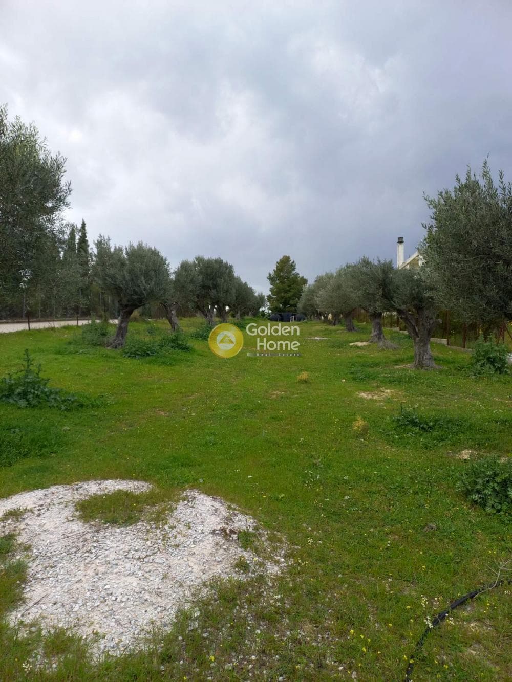 Parcel in Agia Triada, Markopoulo — Photo 3 of 4
