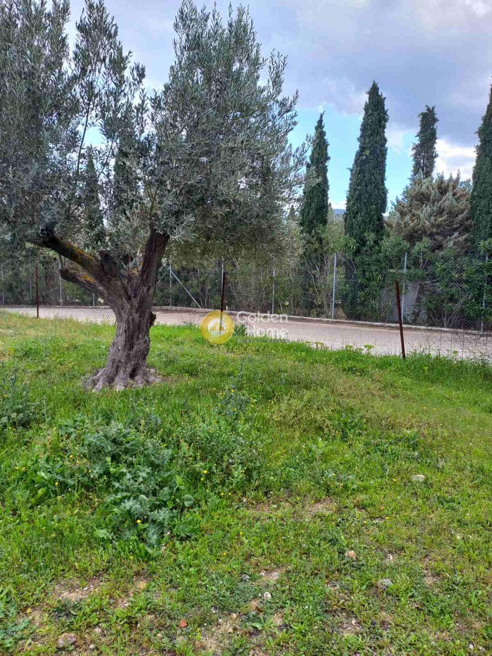 Parcel in Agia Triada, Markopoulo — Photo 4 of 4