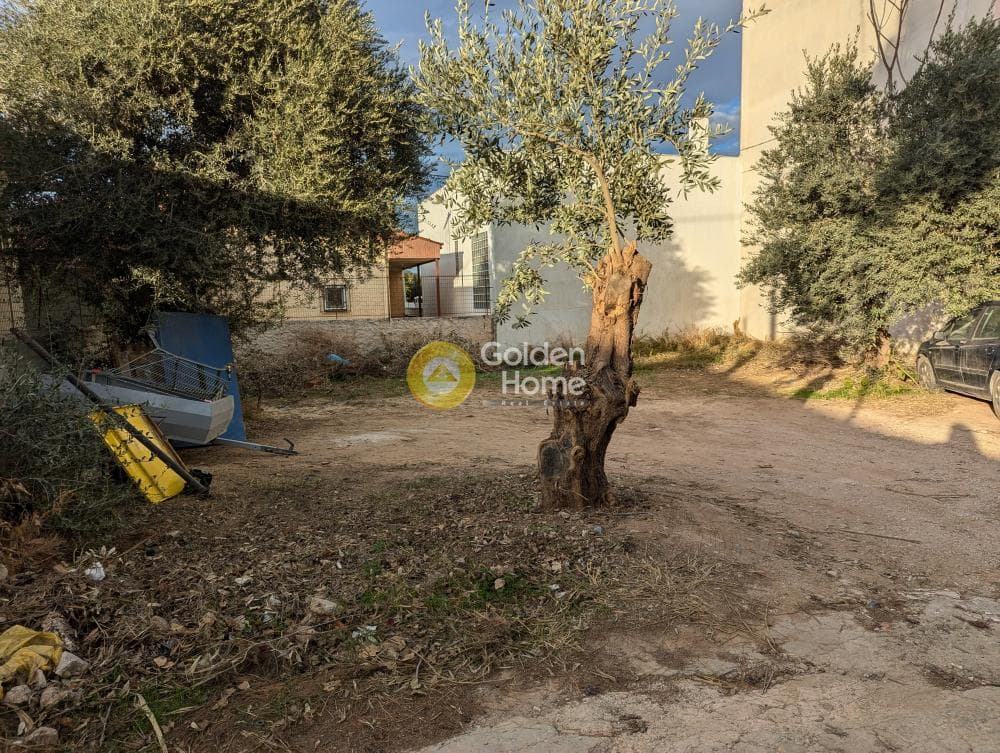 Οικόπεδο στην Άγιος Σεραφείμ, Αρτέμιδα (Λούτσα) — Φωτογραφία 2 από 2