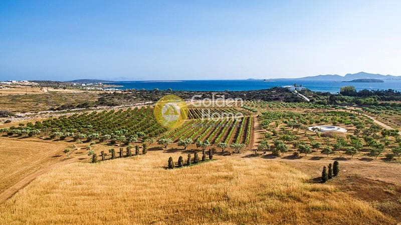 Parcel in Voutakos, Paros — Photo 6 of 6