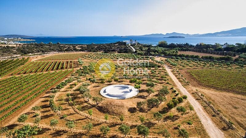 Parcel in Voutakos, Paros — Photo 5 of 6