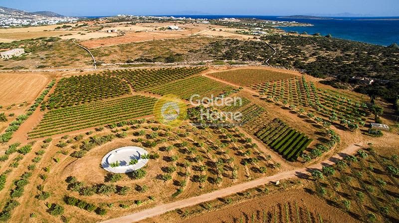 Parcel in Voutakos, Paros — Photo 4 of 6
