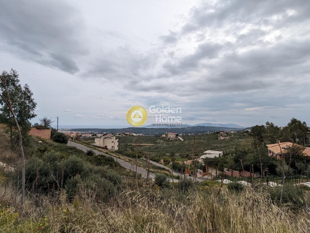 Building Plot in Neos Voutzas, Rafina — Photo 5 of 7