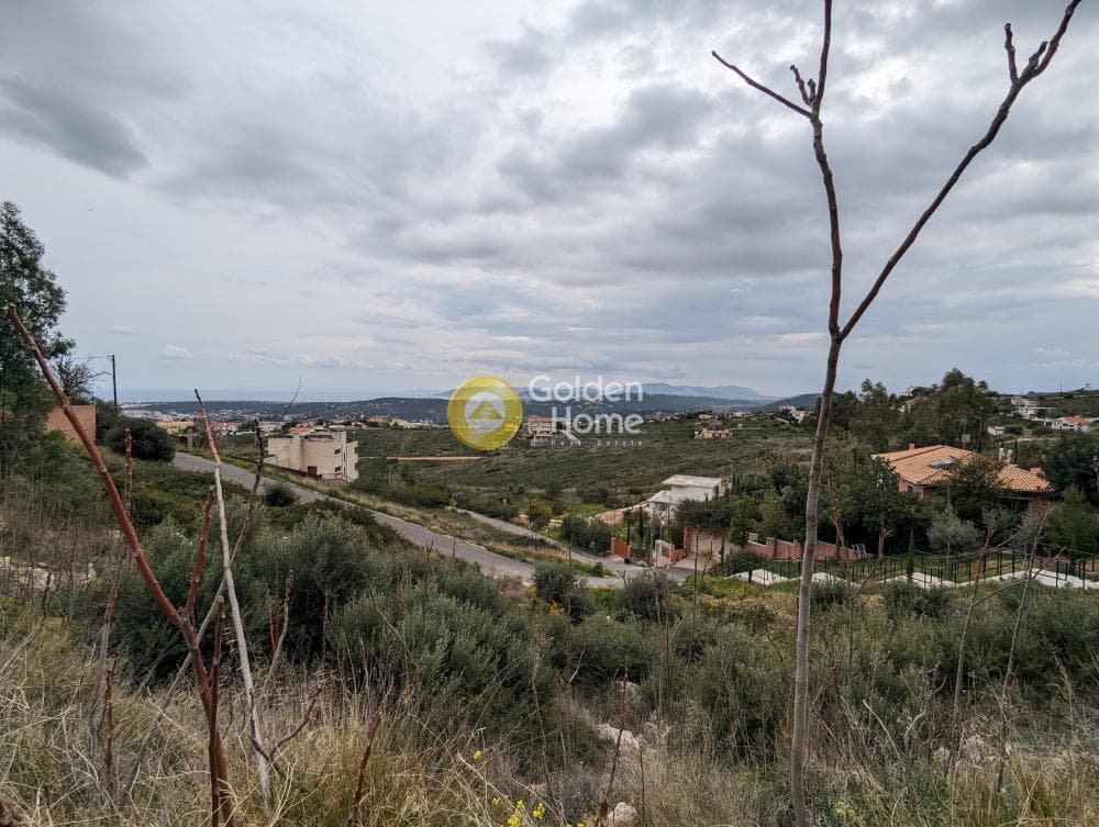 Building Plot in Neos Voutzas, Rafina — Photo 6 of 7