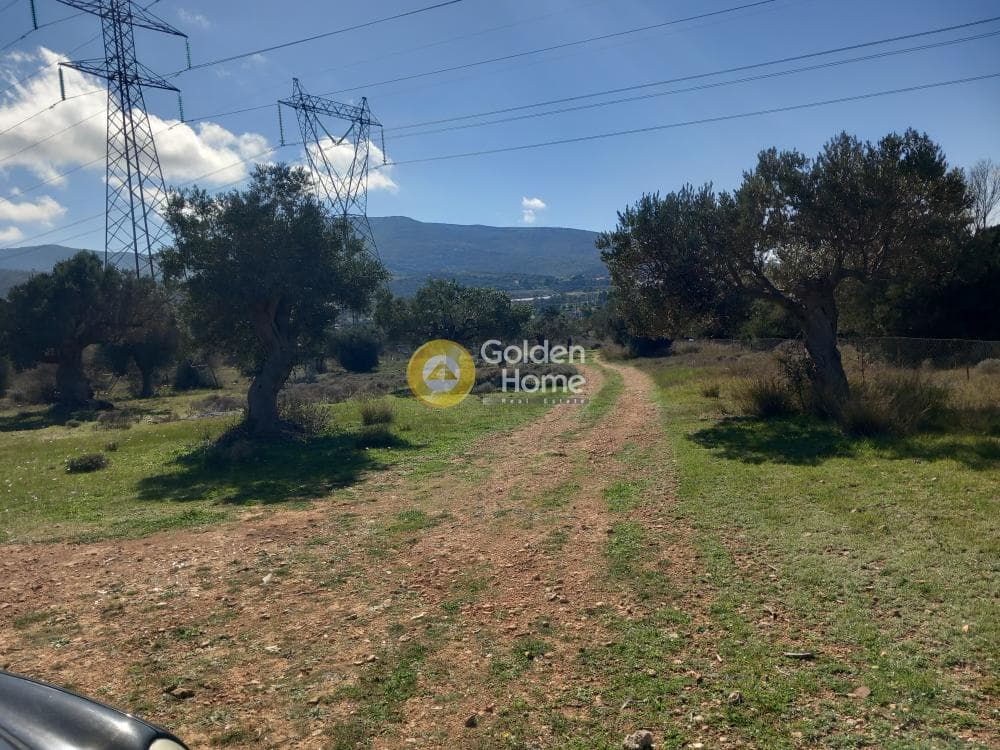 Αγροτεμάχιο στην Κέντρο, Καλύβια Θορικού — Φωτογραφία 1 από 5