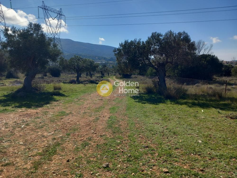 Αγροτεμάχιο στην Κέντρο, Καλύβια Θορικού — Φωτογραφία 4 από 5