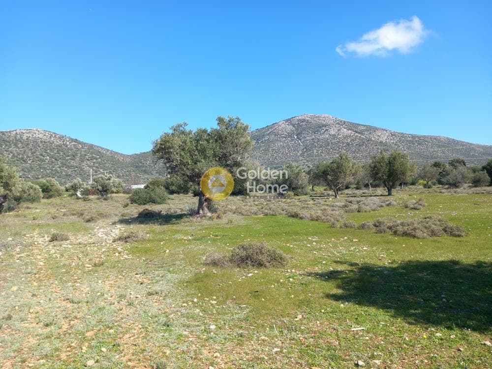 Αγροτεμάχιο στην Κέντρο, Καλύβια Θορικού — Φωτογραφία 3 από 5