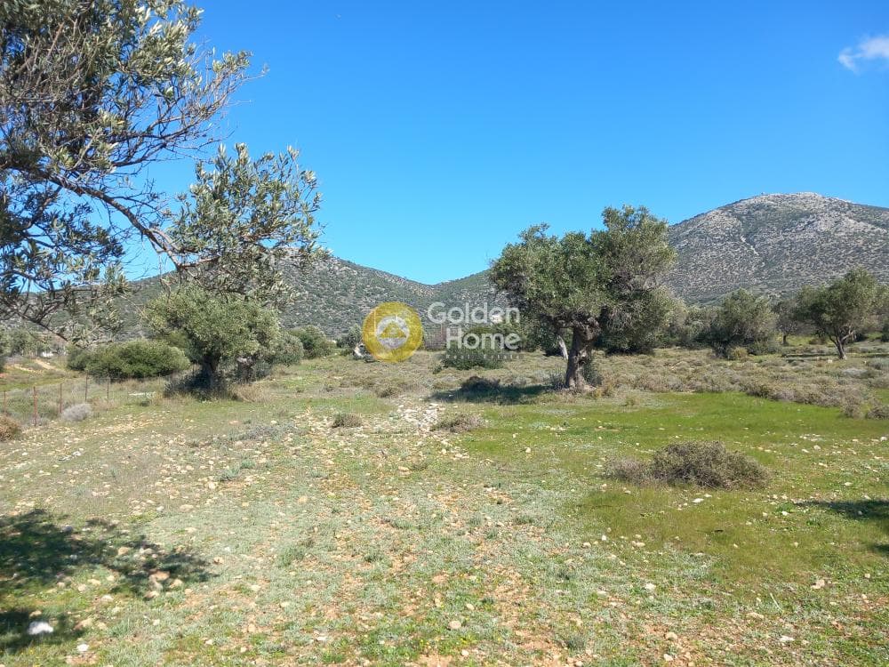 Αγροτεμάχιο στην Κέντρο, Καλύβια Θορικού — Φωτογραφία 5 από 5