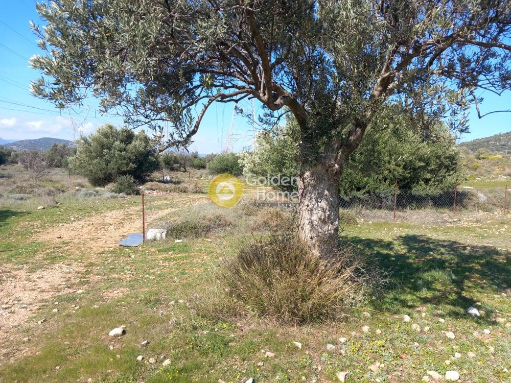 Αγροτεμάχιο στην Κέντρο, Καλύβια Θορικού — Φωτογραφία 2 από 5