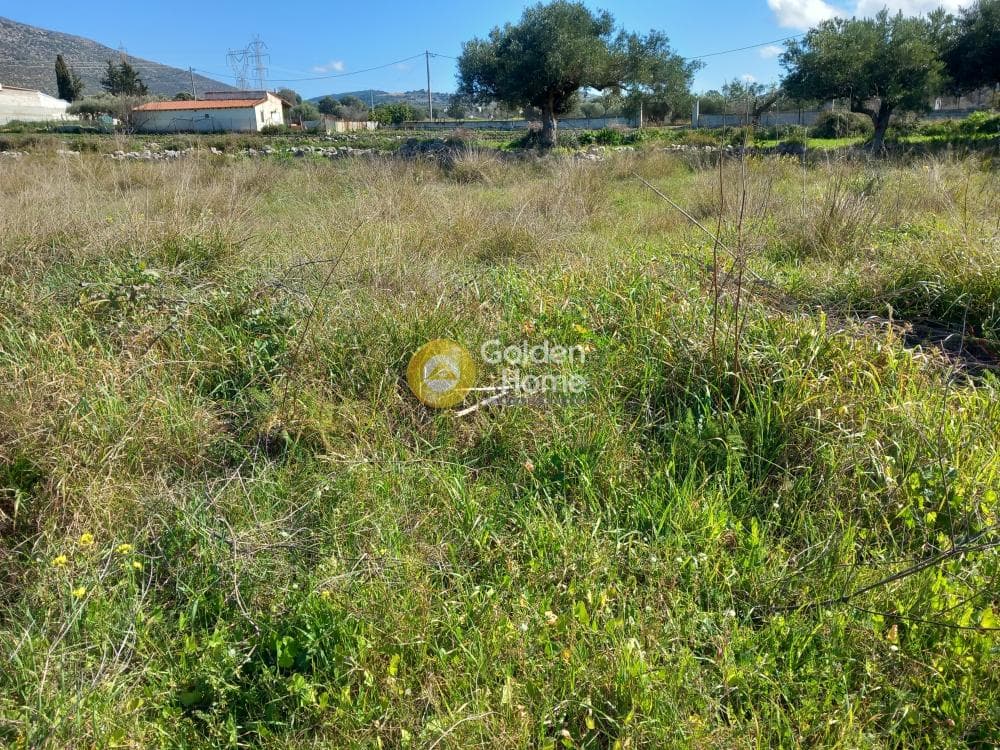 Αγροτεμάχιο στην Κέντρο, Καλύβια Θορικού — Φωτογραφία 3 από 7