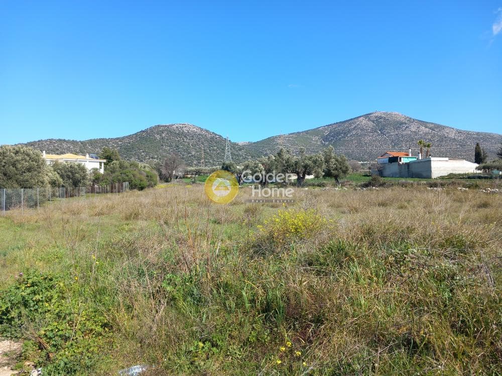 Αγροτεμάχιο στην Κέντρο, Καλύβια Θορικού — Φωτογραφία 4 από 7