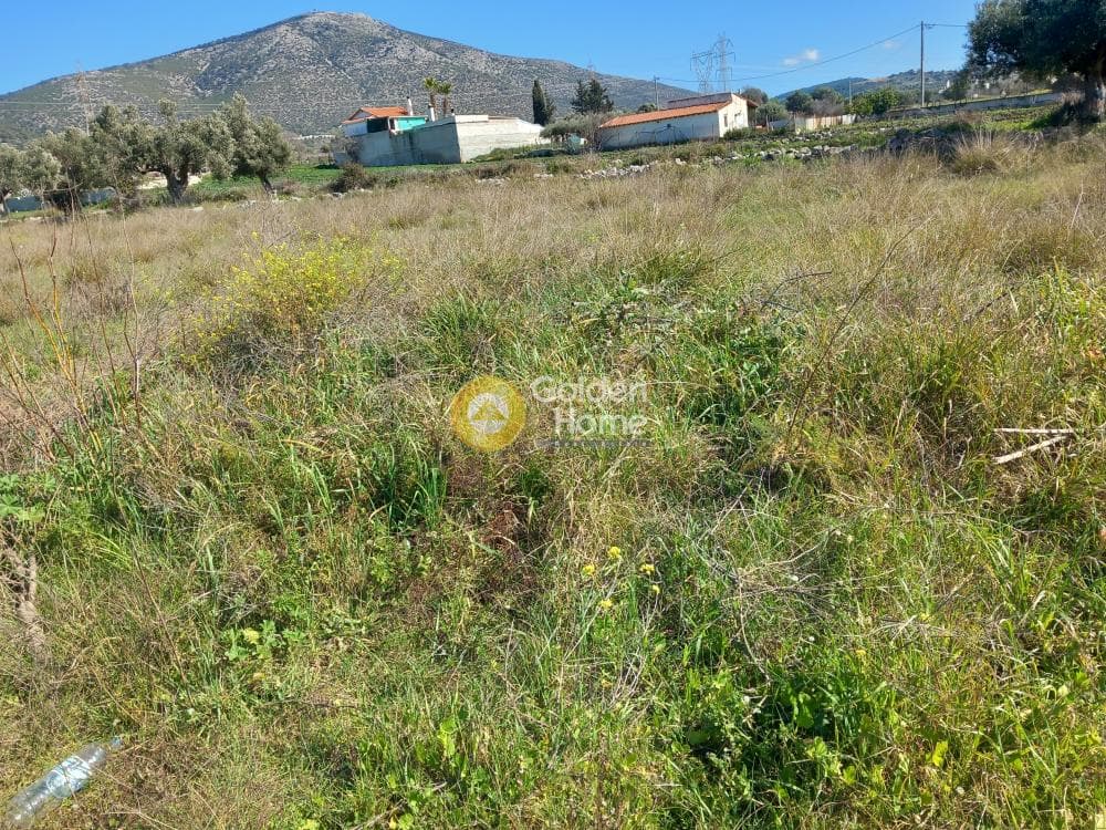 Αγροτεμάχιο στην Κέντρο, Καλύβια Θορικού — Φωτογραφία 6 από 7