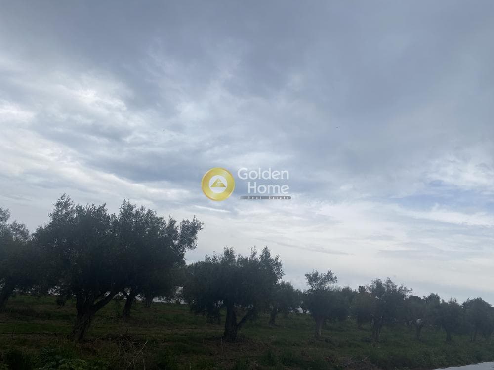 Αγροτεμάχιο στην Άγιος Παντελεήμονας, Νέα Μάκρη — Φωτογραφία 2 από 5