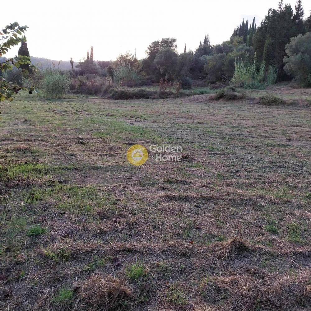 Building Plot in Esperies, Corfu — Photo 3 of 3