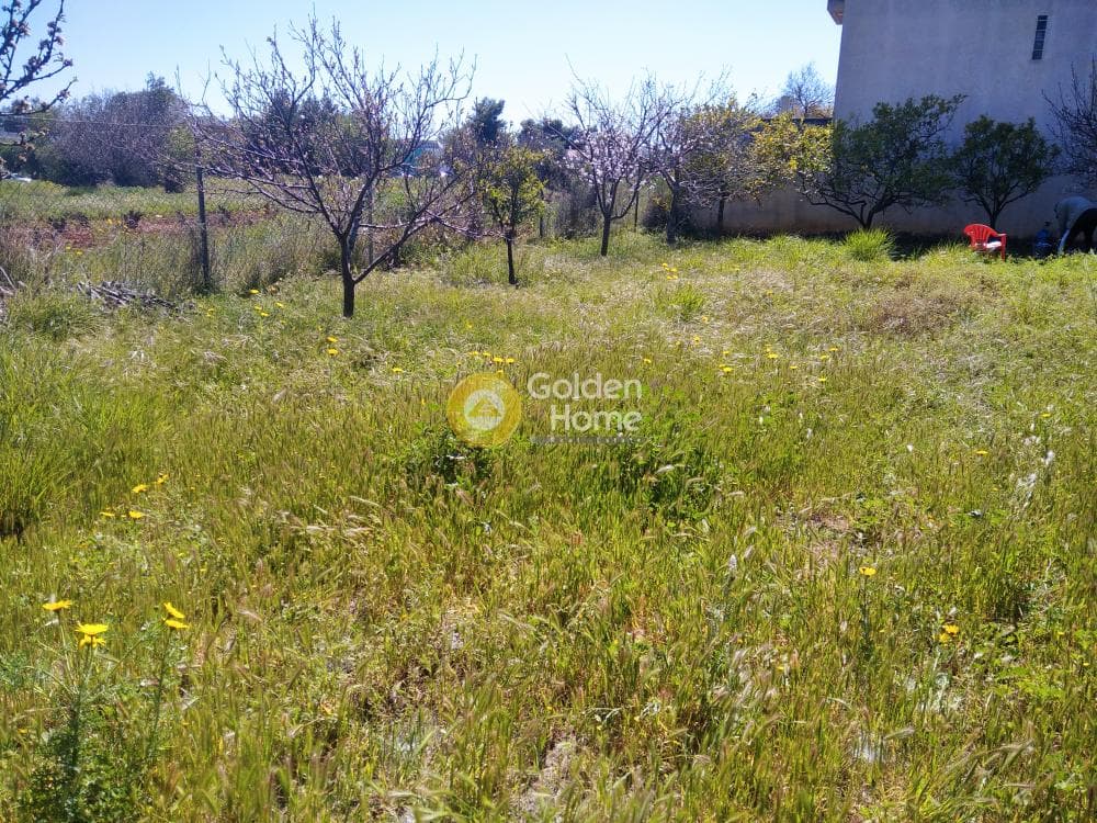 Οικόπεδο στην Άγιος Μηνάς, Αρτέμιδα (Λούτσα) — Φωτογραφία 1 από 4