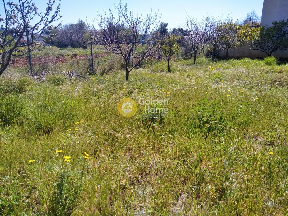 Οικόπεδο στην Άγιος Μηνάς, Αρτέμιδα (Λούτσα) — Φωτογραφία 2 από 4