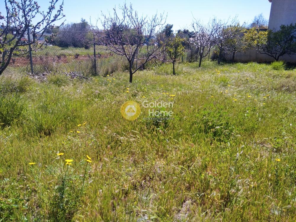 Οικόπεδο στην Άγιος Μηνάς, Αρτέμιδα (Λούτσα) — Φωτογραφία 3 από 4