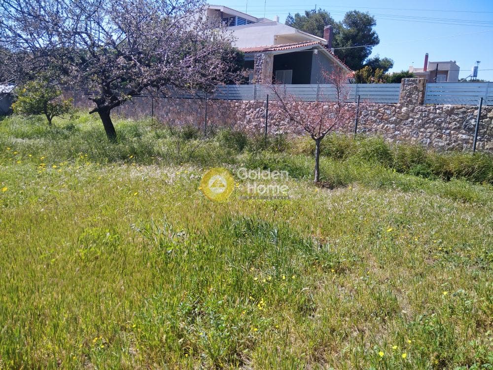 Οικόπεδο στην Άγιος Μηνάς, Αρτέμιδα (Λούτσα) — Φωτογραφία 4 από 4