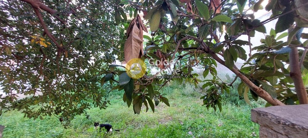 Οικόπεδο στην Κηπούπολη, Πετρούπολη — Φωτογραφία 15 από 17