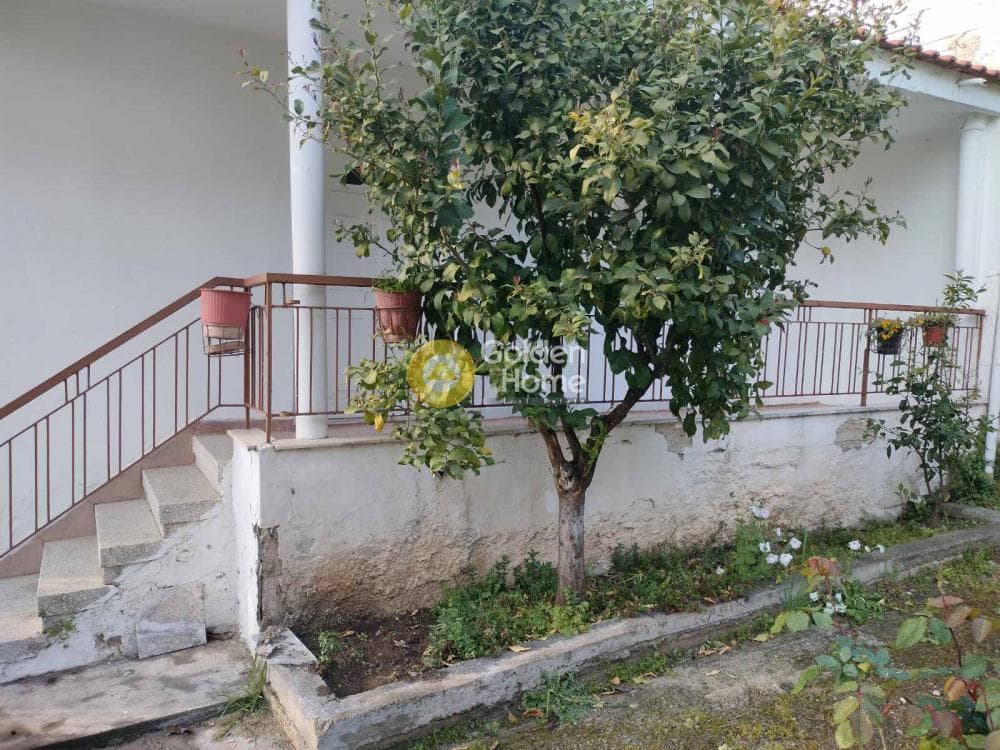 Μονοκατοικία στην Νέα Ραιδεστός, Θέρμη — Φωτογραφία 3 από 16