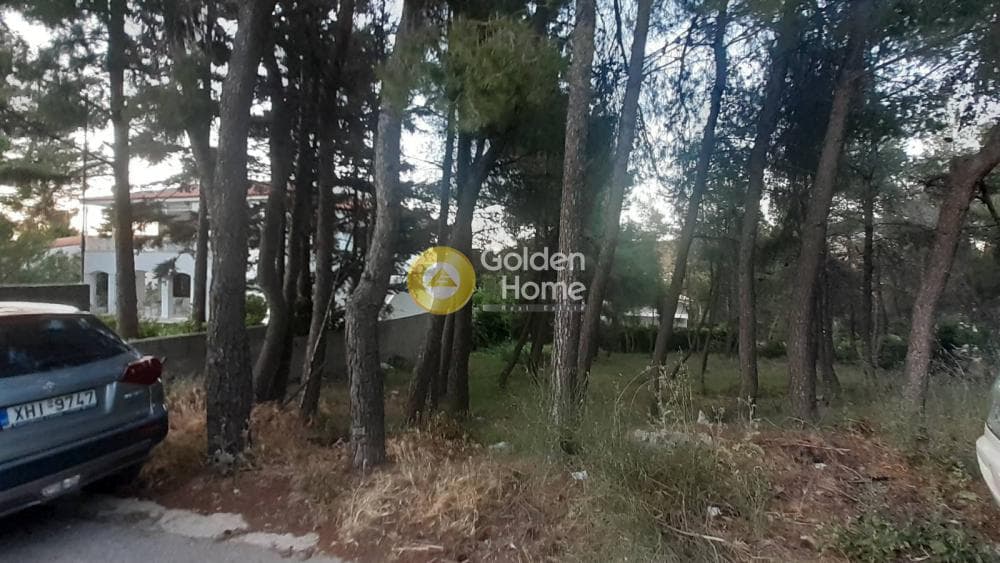 Οικόπεδο στην Δροσιά, Δροσιά — Φωτογραφία 1 από 6