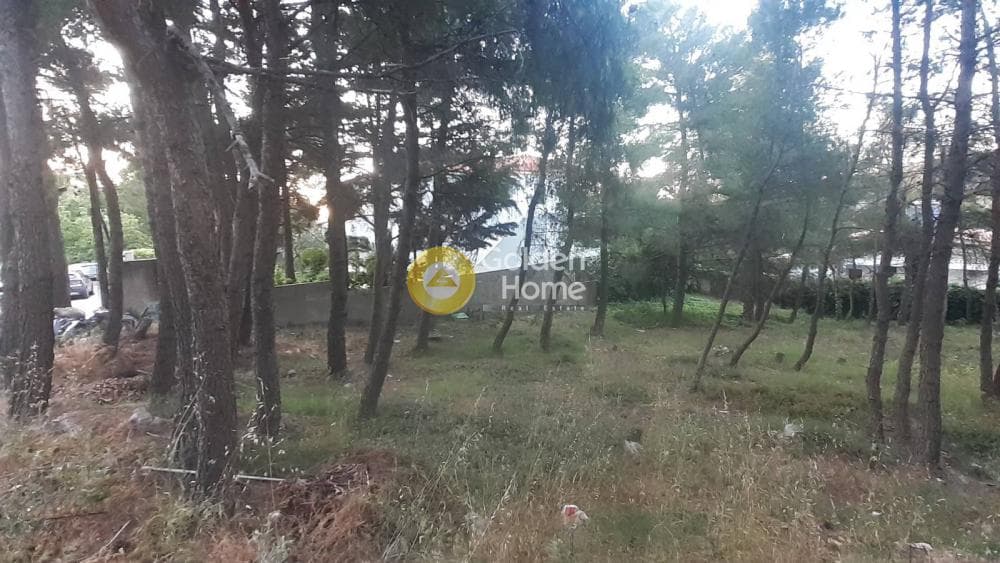Οικόπεδο στην Δροσιά, Δροσιά — Φωτογραφία 2 από 6