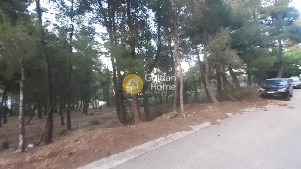 Οικόπεδο στην Δροσιά, Δροσιά — Φωτογραφία 3 από 6