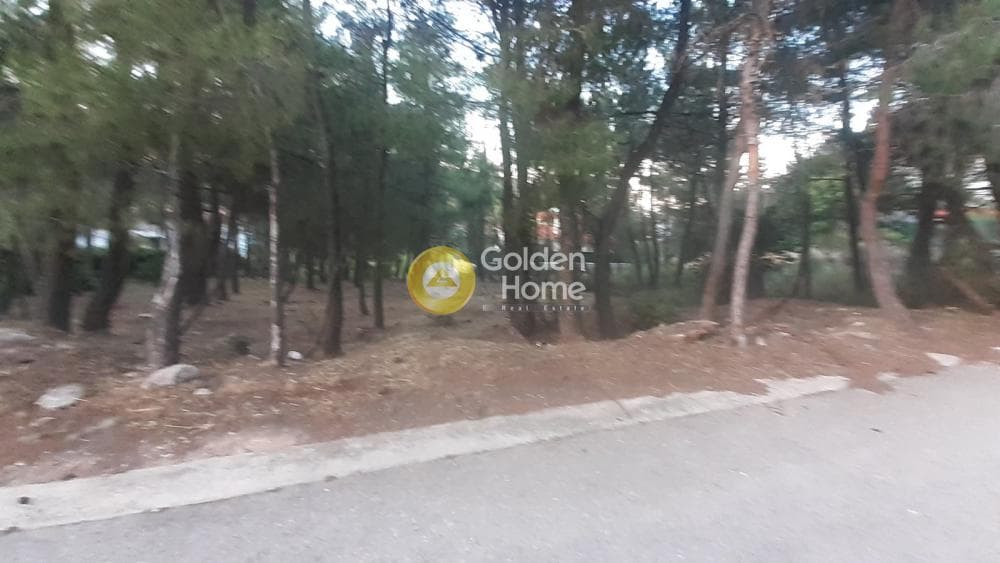 Οικόπεδο στην Δροσιά, Δροσιά — Φωτογραφία 6 από 6