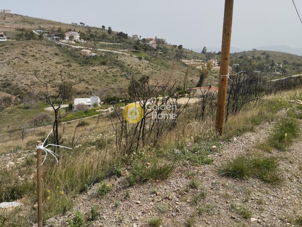 Building Plot in Agios Athanasios, Pallini — Photo 3 of 3
