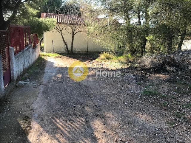 Αγροτεμάχιο στην Άλσος Κτήματος Συγγρού, Μαρούσι — Φωτογραφία 1 από 8