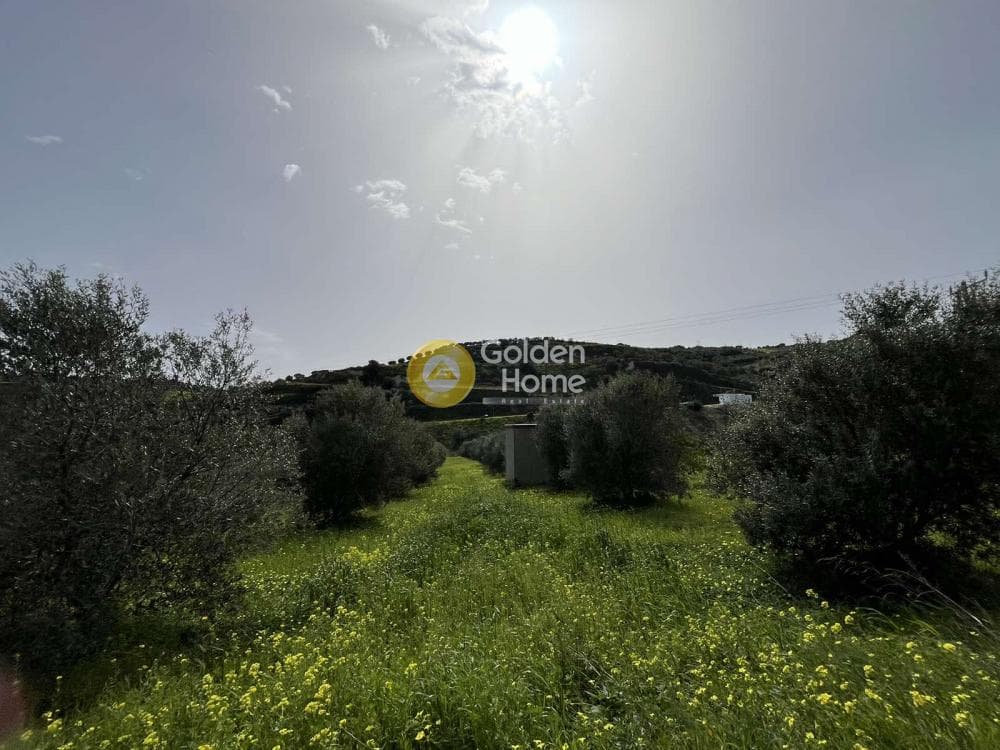 Οικόπεδο στην Κάτω Καλέσια, Τέμενος — Φωτογραφία 1 από 11
