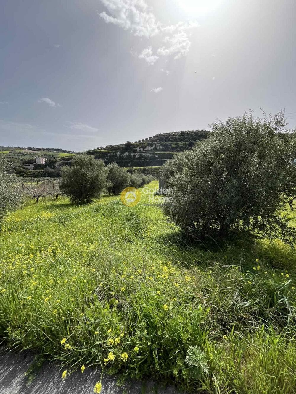 Οικόπεδο στην Κάτω Καλέσια, Τέμενος — Φωτογραφία 8 από 11