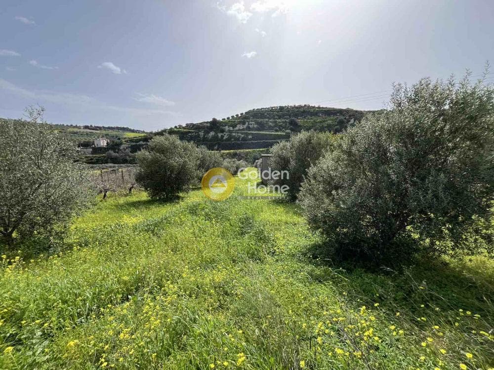 Οικόπεδο στην Κάτω Καλέσια, Τέμενος — Φωτογραφία 7 από 11