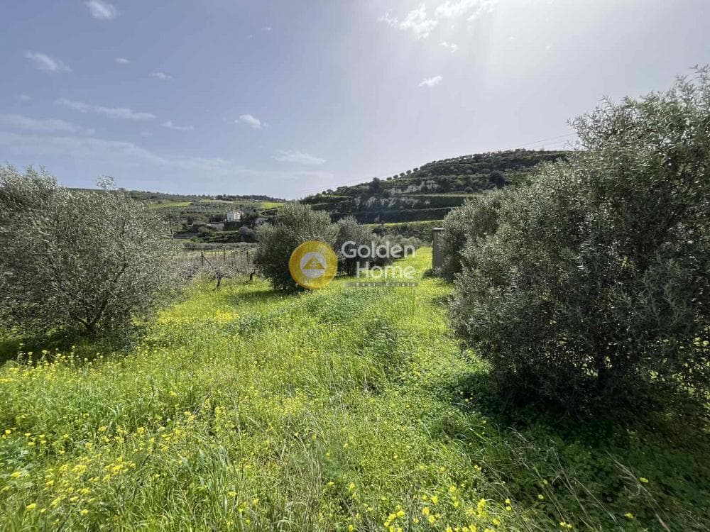 Οικόπεδο στην Κάτω Καλέσια, Τέμενος — Φωτογραφία 10 από 11