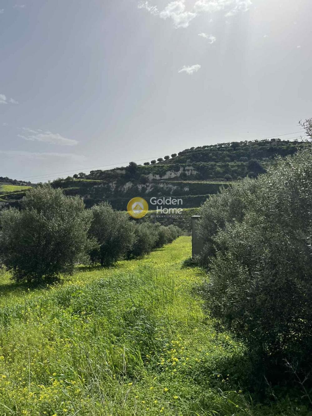 Οικόπεδο στην Κάτω Καλέσια, Τέμενος — Φωτογραφία 11 από 11
