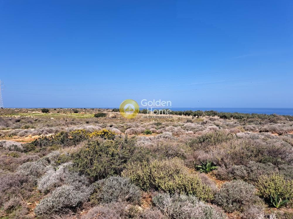 Οικόπεδο στην Χατζανά, Γούβες — Φωτογραφία 2 από 2