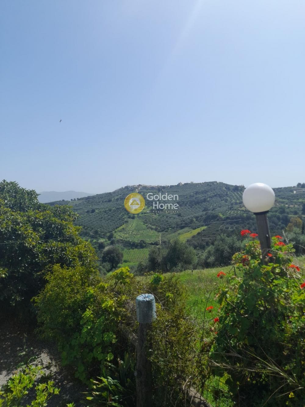 Αγροτεμάχιο στην Πενταμόδι, Τετραχώρι — Φωτογραφία 3 από 10