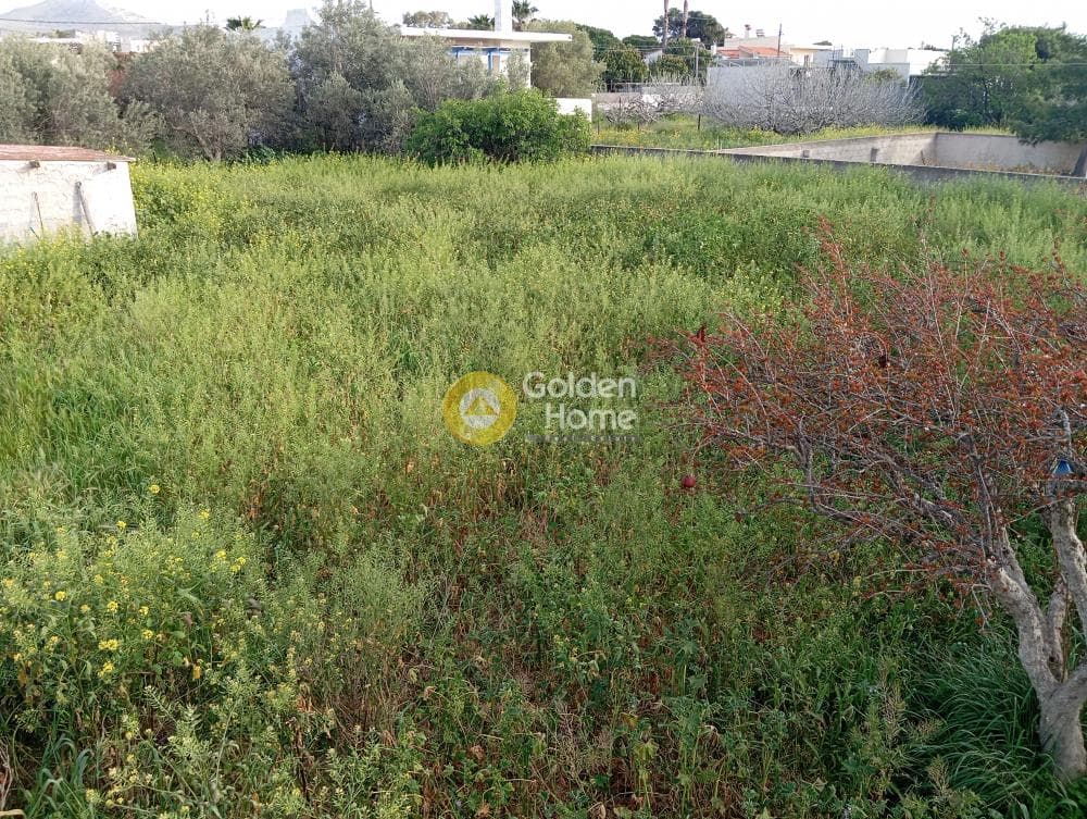 Οικόπεδο στην Λαγονήσι, Σαρωνίδα — Φωτογραφία 5 από 5