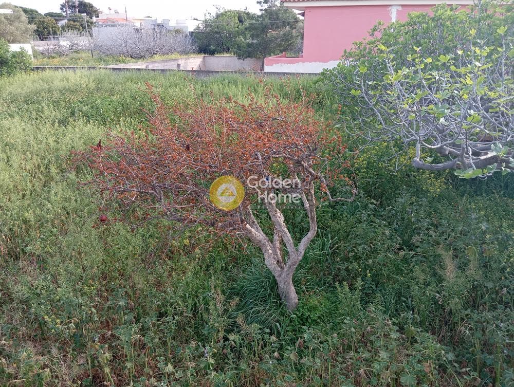 Οικόπεδο στην Λαγονήσι, Σαρωνίδα — Φωτογραφία 4 από 5