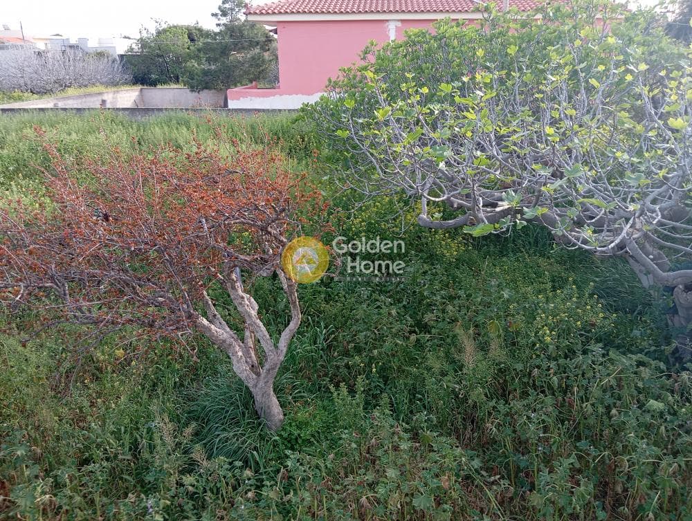 Οικόπεδο στην Λαγονήσι, Σαρωνίδα — Φωτογραφία 3 από 5
