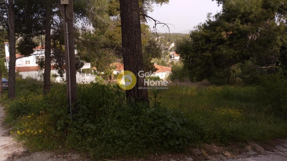 Οικόπεδο στην Αγιά Παρασκευή, Άγιος Στέφανος — Φωτογραφία 5 από 11