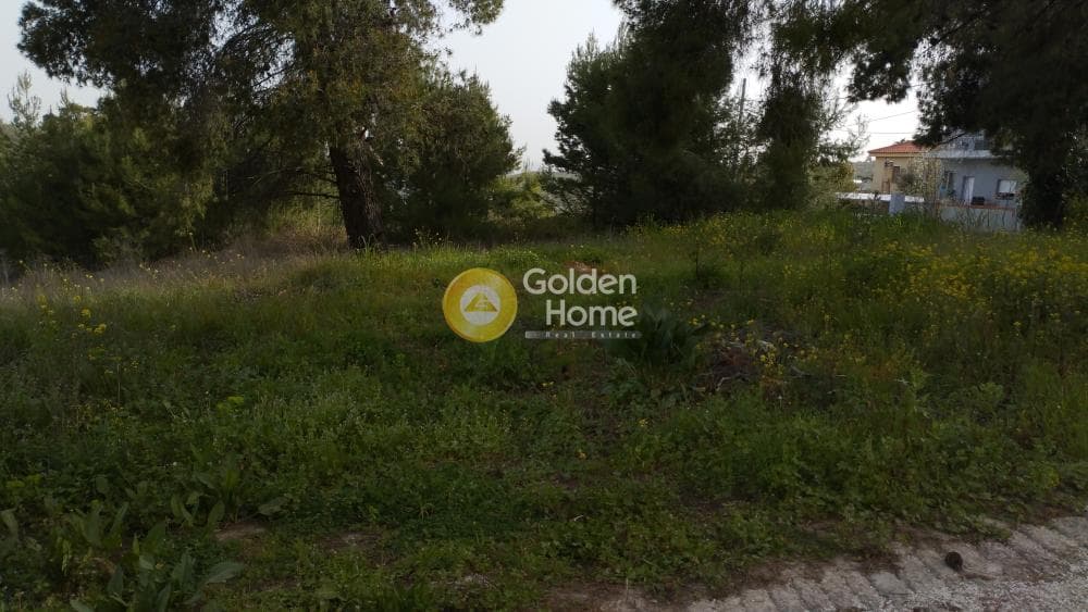 Οικόπεδο στην Αγιά Παρασκευή, Άγιος Στέφανος — Φωτογραφία 7 από 11