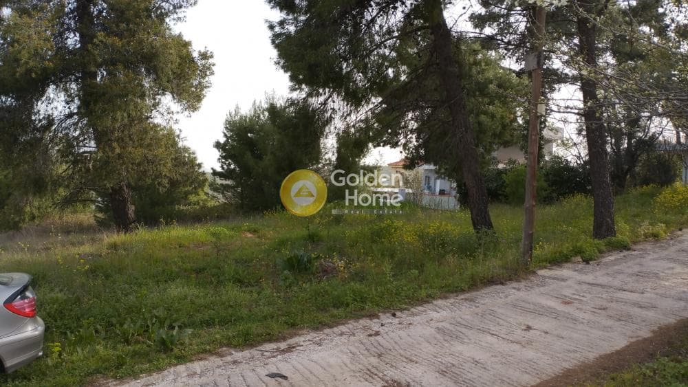 Οικόπεδο στην Αγιά Παρασκευή, Άγιος Στέφανος — Φωτογραφία 2 από 11