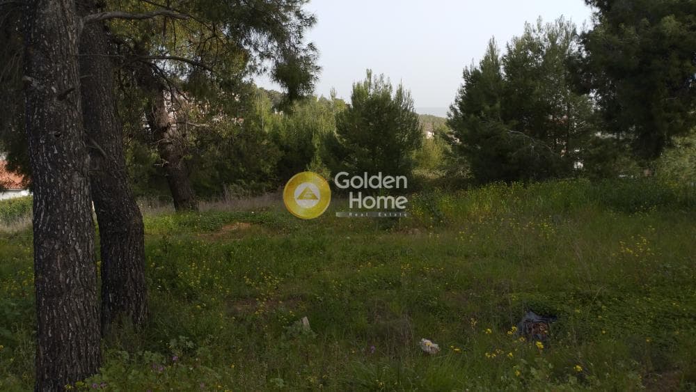 Οικόπεδο στην Αγιά Παρασκευή, Άγιος Στέφανος — Φωτογραφία 3 από 11