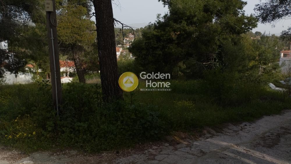 Οικόπεδο στην Αγιά Παρασκευή, Άγιος Στέφανος — Φωτογραφία 8 από 11