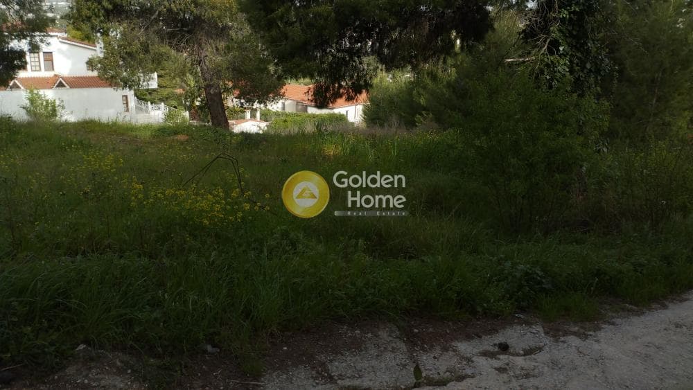 Οικόπεδο στην Αγιά Παρασκευή, Άγιος Στέφανος — Φωτογραφία 9 από 11