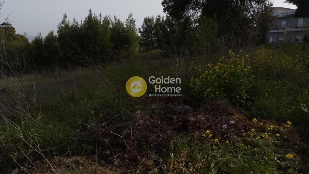 Οικόπεδο στην Αγιά Παρασκευή, Άγιος Στέφανος — Φωτογραφία 10 από 11