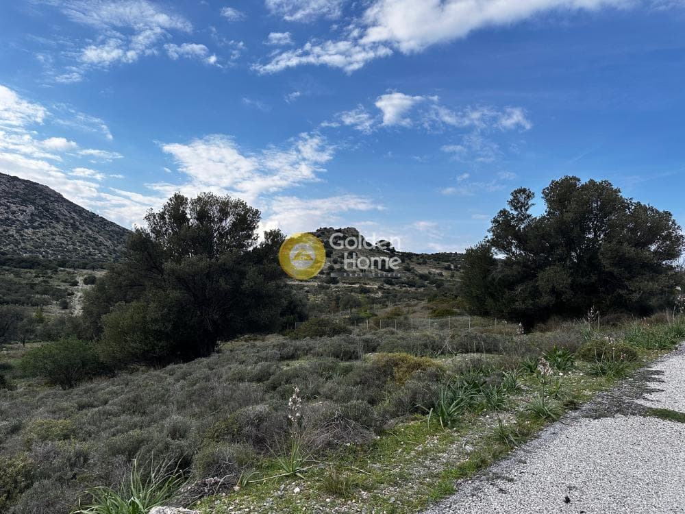 Αγροτεμάχιο στην Διόνυσος, Κερατέα — Φωτογραφία 5 από 6